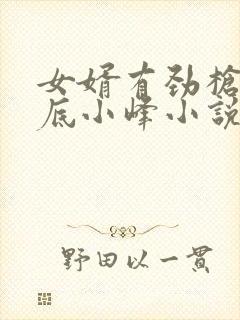 女婿有劲枪枪到底小峰小说