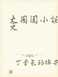 大团圆小说集全文