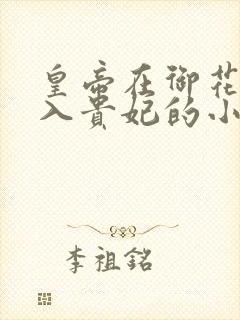 皇帝在御花园进入贵妃的小说