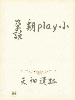 孕期play小说