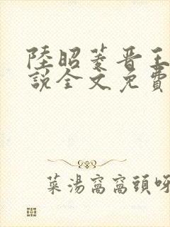 陆昭菱晋王的小说全文免费阅读