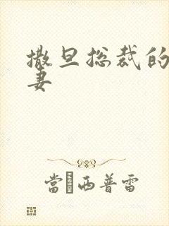 撒旦总裁的下堂妻