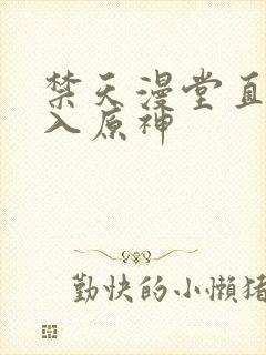 禁天漫堂直接进入原神