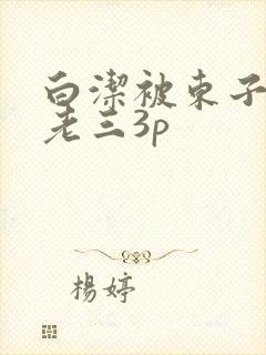 白洁被东子老二老三3p