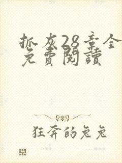 抓灰28章全部免费阅读