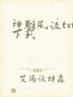 神雕风流txt下载