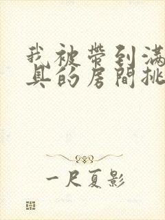 我被带到满是玩具的房间挑调作文