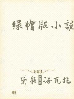 绿帽版小说
