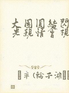 大团圆结闪闪发光亲情会视频