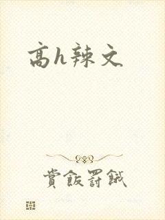 高h辣文