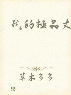 我的极品丈母娘