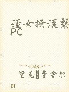 渣女撩汉系统NPC