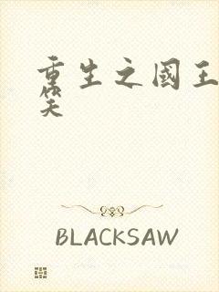 重生之国王的微笑