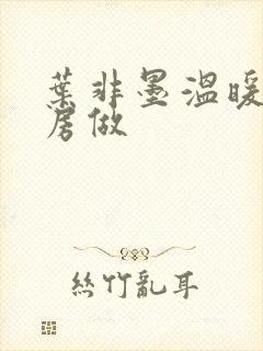 叶非墨温暖在厨房做