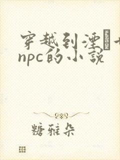 穿越到湮婸世界npc的小说