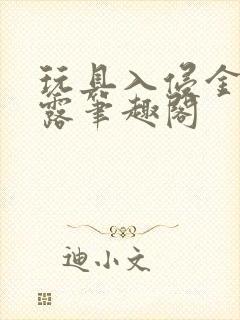 玩具入侵金银花露笔趣阁