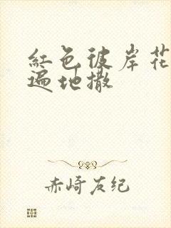 红色彼岸花花瓣遍地撒