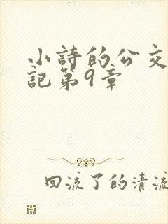 小诗的公交车日记第9章
