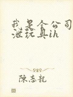 我是全公司的发泄玩具ih