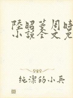 陆昭菱周时阅的小说全文免费阅读