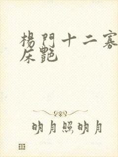 杨门十二寡妇肉床艳
