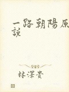 一路朝阳原著小说