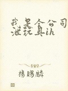 我是全公司的发泄玩具ih