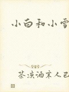 小白和小雪