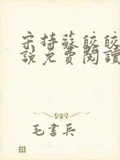 宋持苏皎皎的小说免费阅读