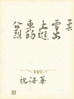 公车上雪柔被猛烈的进出