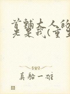 首辅大人的白月光是我(重生)