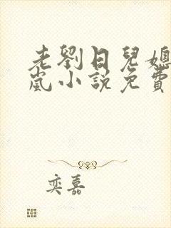 老刘日儿媳妇张岚小说免费阅读