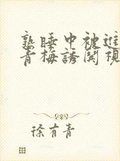 熟睡中被进了H青梅诱哄视频