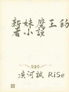 新妹魔王的契约者小说