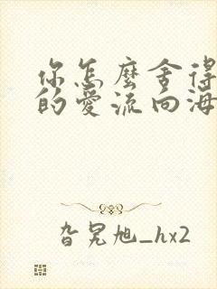 你怎么舍得让我的爱流向海