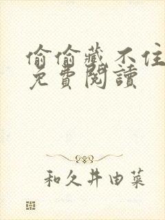 偷偷藏不住小说免费阅读