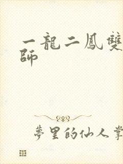 一龙二凤双飞老师