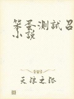 笨蛋测试召唤兽小说
