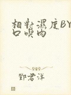 相对湿度BY大口吃肉