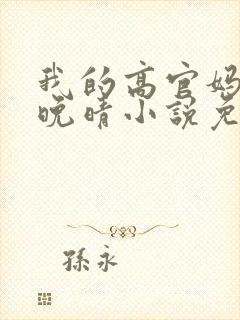 我的高官妈妈苏晚晴小说免费阅读