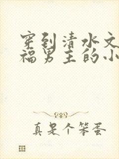 穿到清水文里造福男主的小说