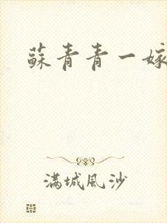 苏青青一嫁三夫