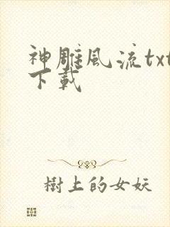 神雕风流txt下载