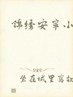 锦绣安宁小说