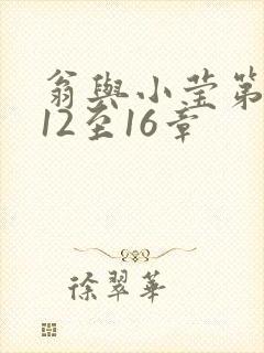 翁与小莹第十部12至16章