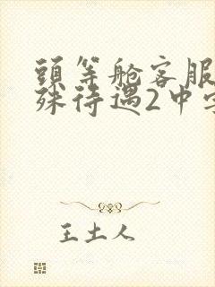 头等舱客服的特殊待遇2中字