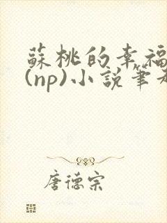 苏桃的幸福生活(np)小说笔趣阁沐沐