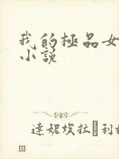 我的极品女老师小说