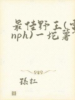 最佳野王(电竞nph)一坨薯饼