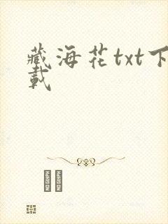 藏海花txt下载